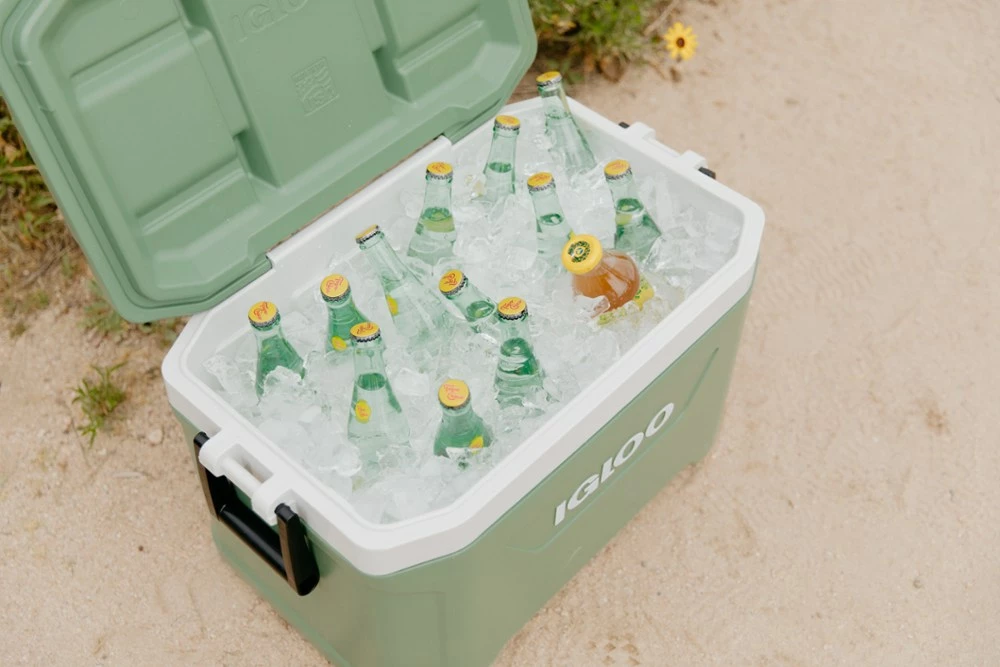 Igloo ECOCOOL Cooler - 52 qts. 11 Igloo ECOCOOL Cooler - 52 qts. - Image 9