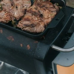 BioLite FirePit Griddle - None -Camp Kitchen Sales Store 95cd9be0 1daa 4129 8544 614a9da94b21