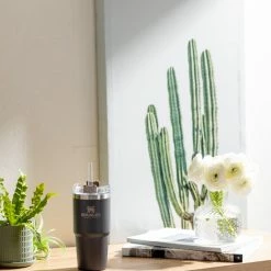 Stanley Adventure Vacuum Quencher Travel Tumbler - 14 fl. oz. - Coal 10 Stanley Adventure Vacuum Quencher Travel Tumbler - 14 fl. oz. - Coal -Camp Kitchen Sales Store 9d4648eb 1a9e 49e5 ac28 61212ce42440