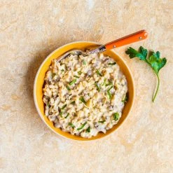 Mountain House Classic Beef Stroganoff - 3 Servings -Camp Kitchen Sales Store d8442c5f f613 40c6 997f eda6553cfe55